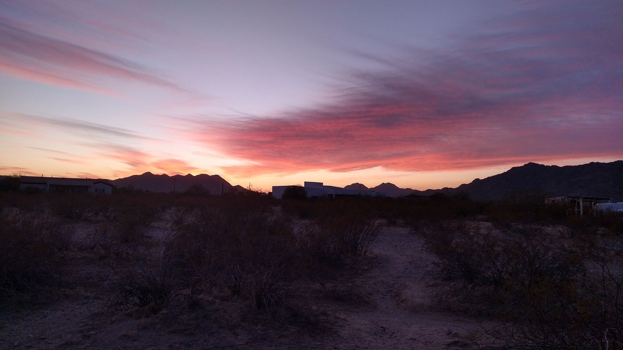 Photo of Others in San Tan Valley