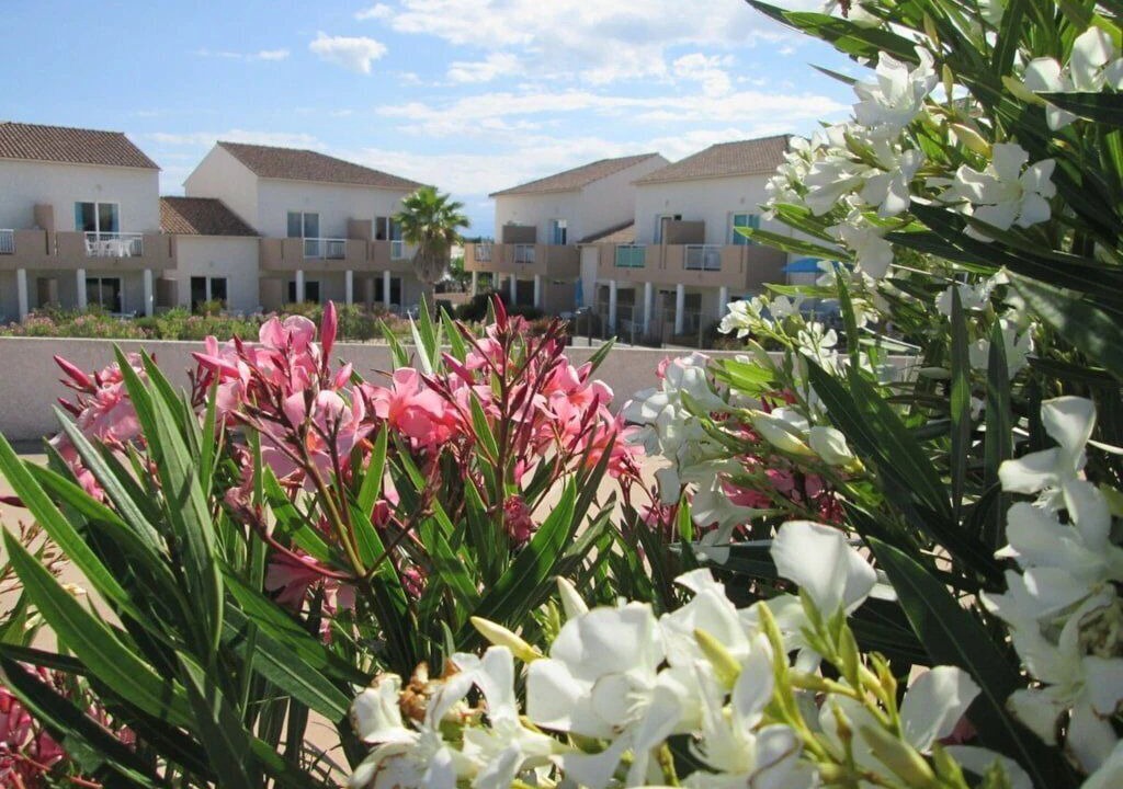 Photo of Outdoor in Bravone