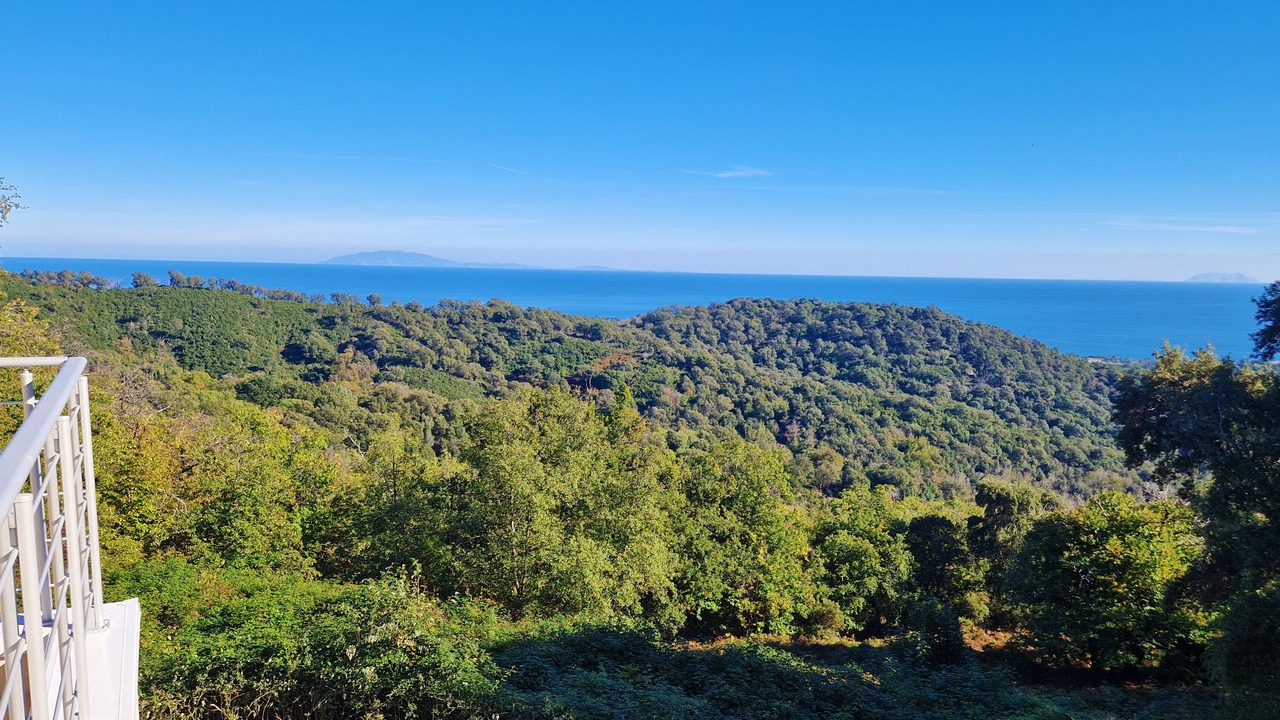 Photo of Others in Poggio-Mezzana