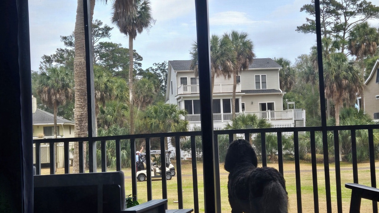 Photo of Others in Ocean Ridge