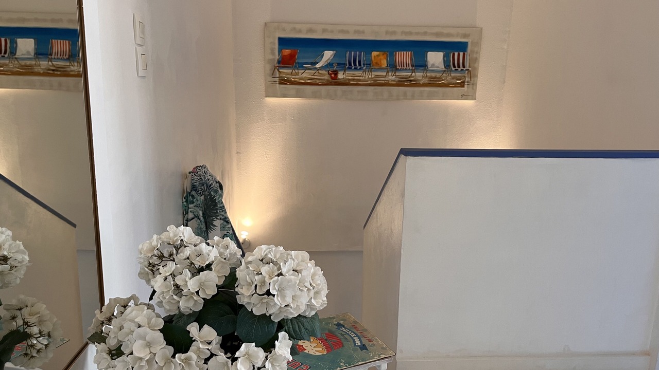 Photo of Others in Calvi