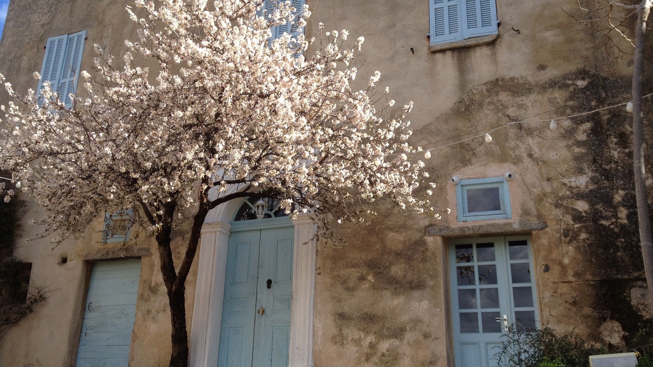Photo of Others in Pigna