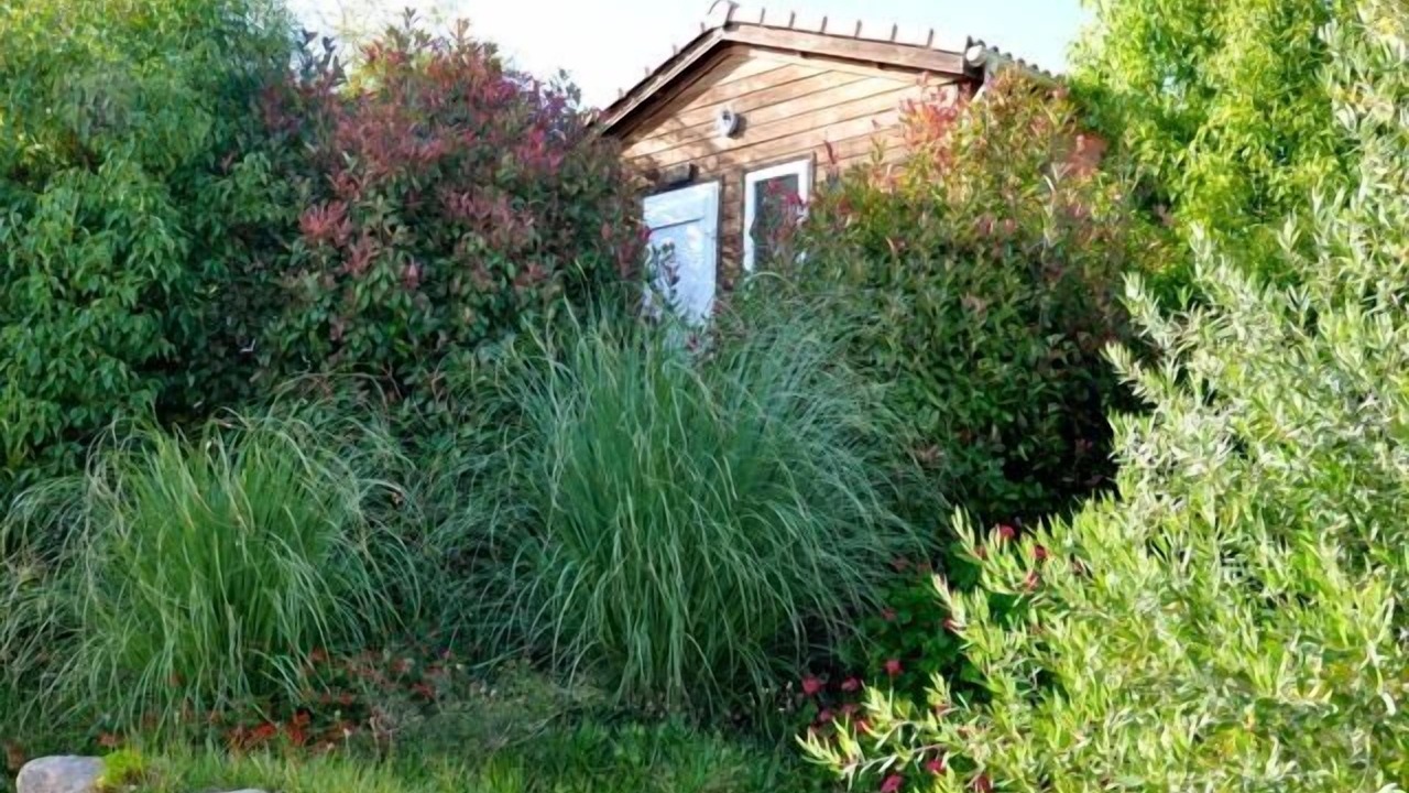 Photo of Bedroom in Maora