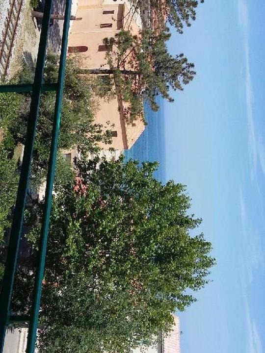Photo of Others in Algajola