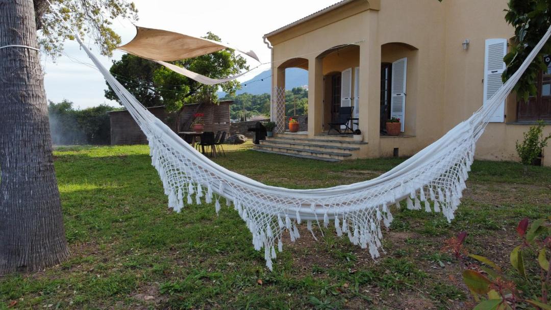 Photo of Others in Santa-Lucia-di-Moriani