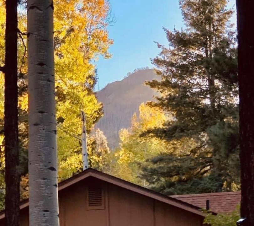 Photo of Others in Alpine