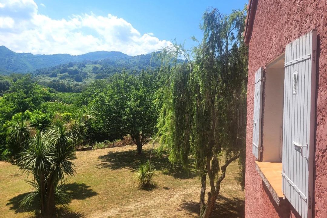Photo of Others in Santa-Lucia-di-Moriani
