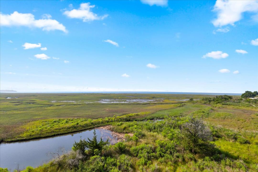 Photo of Others in Chincoteague