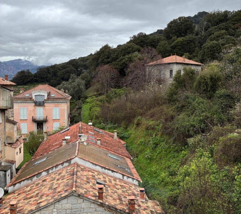 Photo of Others in Sainte-Lucie-de-Tallano