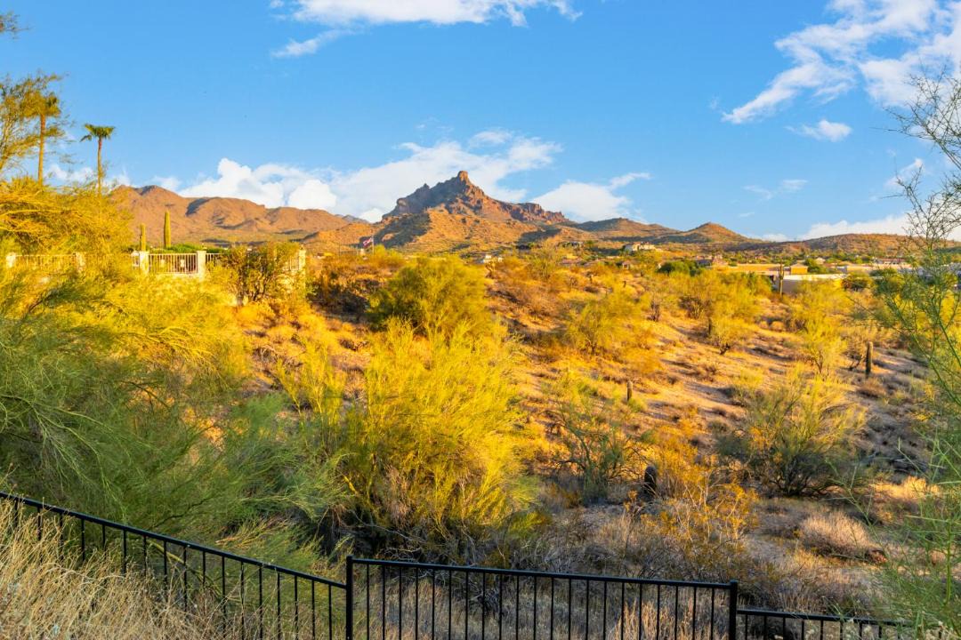 Photo of Others in Fountain Hills