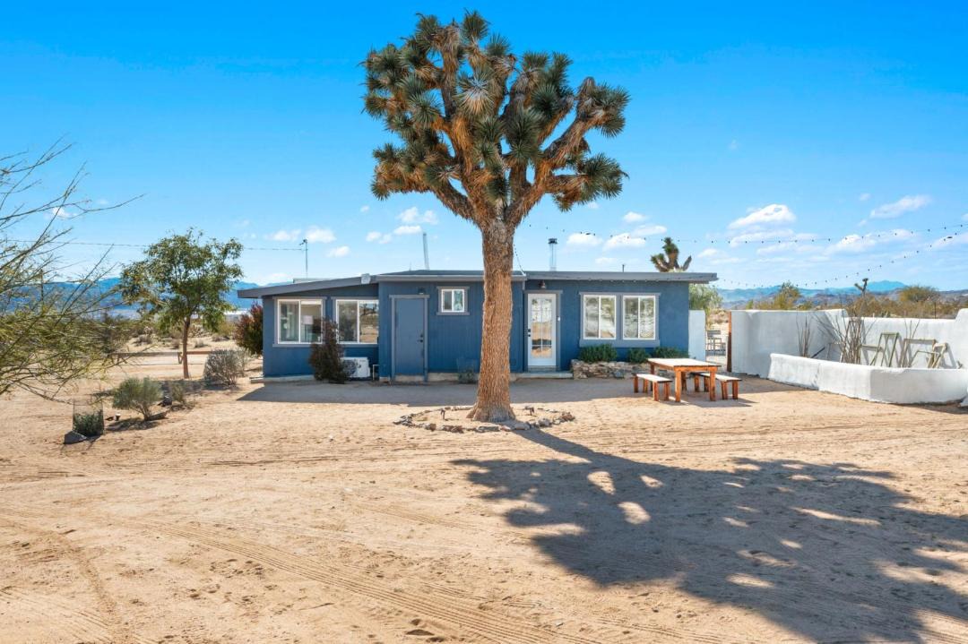 Photo of Others in Joshua Tree