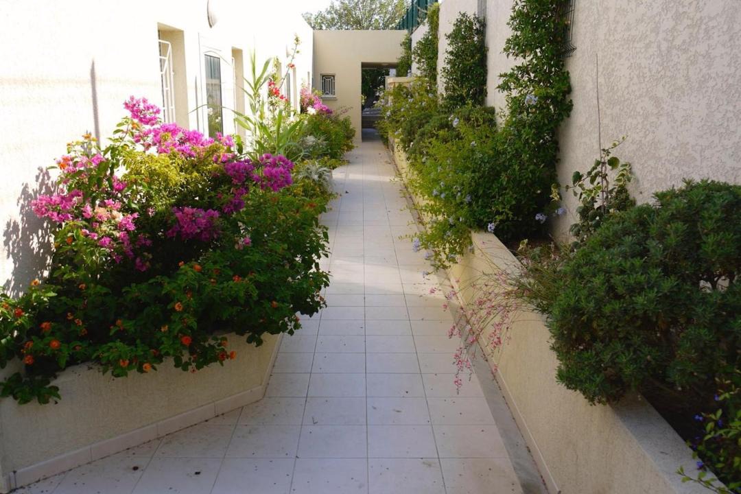 Photo of Others in L'Ile-Rousse