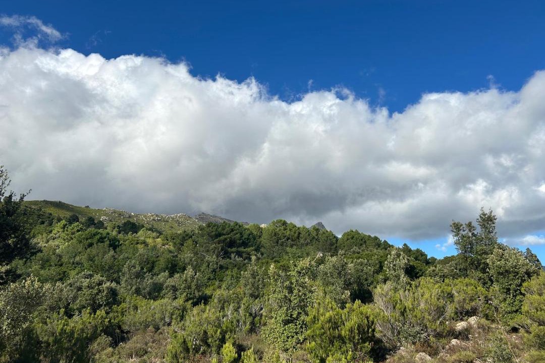 Photo of Outdoor in Quenza