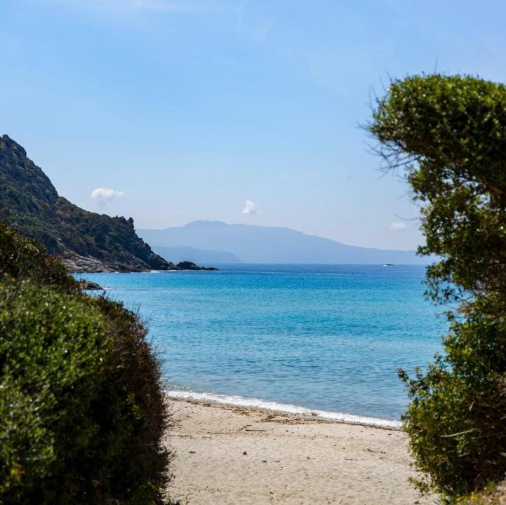Photo of Others in Cargese