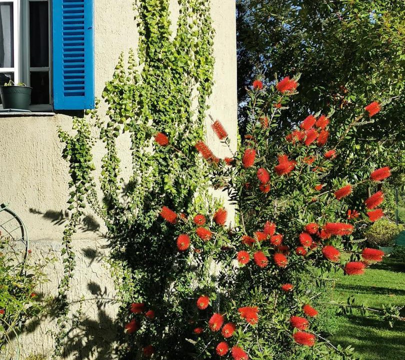 Photo of Buildings in Vico