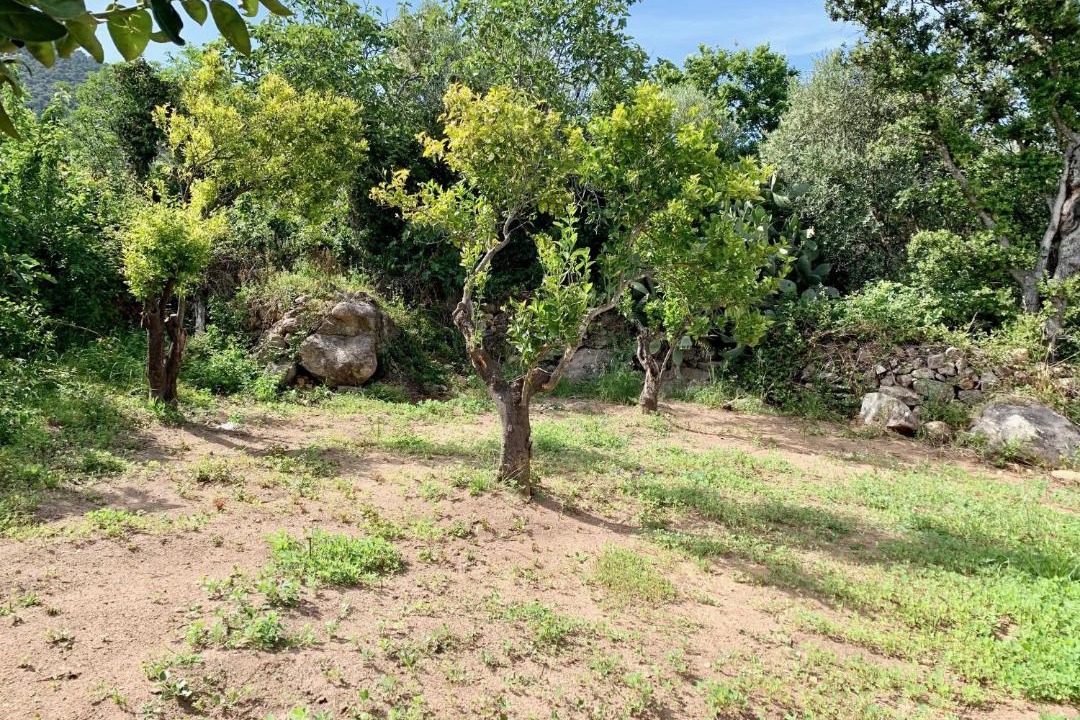 Photo of Outdoor in Mucchitone