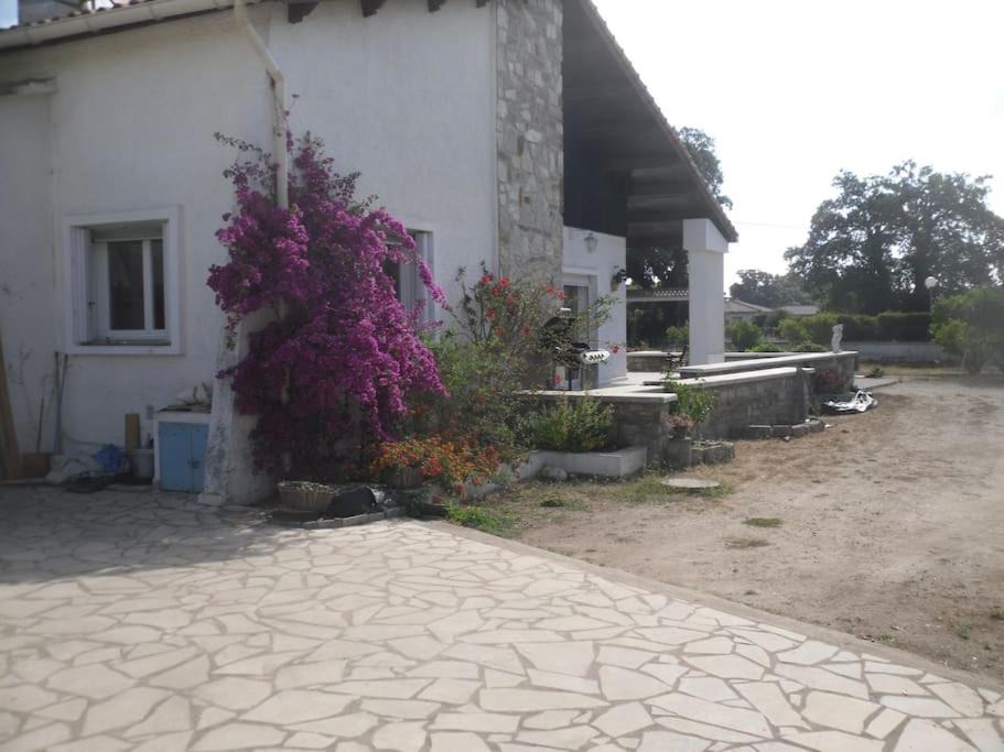 Photo of Buildings in Morta