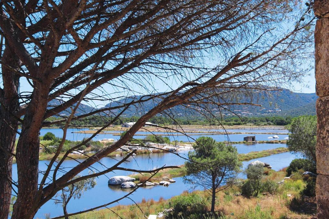 Photo of Others in Porto-Vecchio