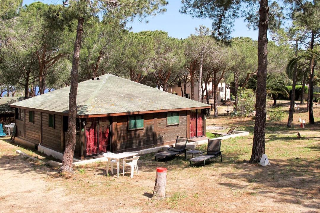Photo of Others in Calvi