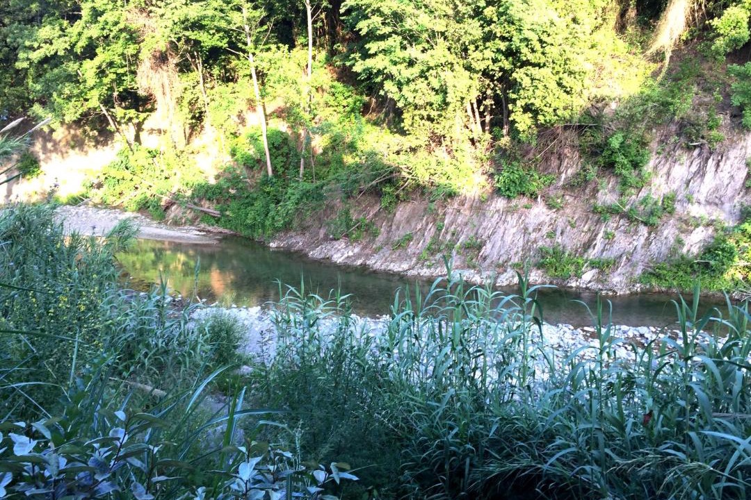 Photo of Outdoor in Taglio-Isolaccio