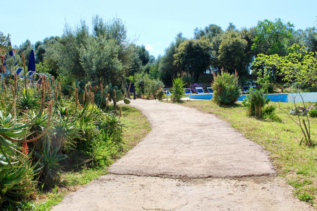 Photo of Others in Cargese