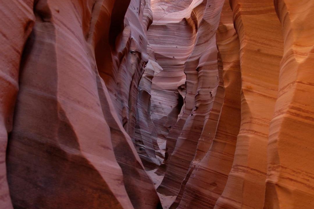 Photo of Others in Escalante