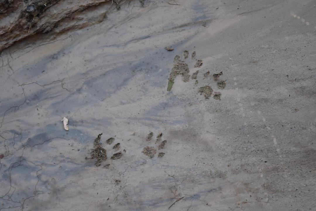 Photo of Others in Escalante