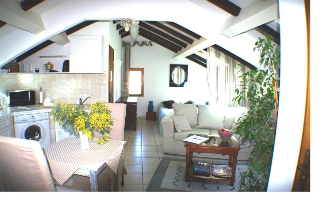 Photo of Others in Sainte-Lucie-de-Tallano