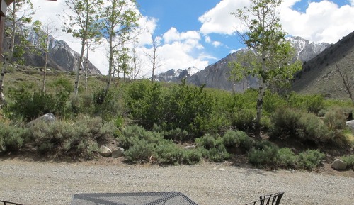 Family Cabin (Cottonwood)