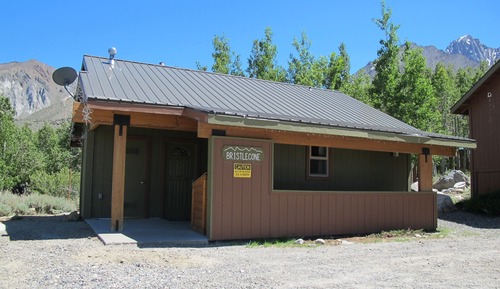 Cabin, 1 Bedroom, Hot Tub (Bristlecone)