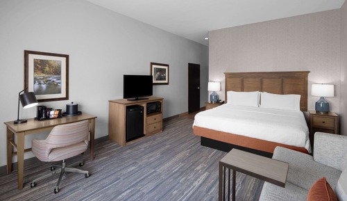 Room, 1 King Bed, Non Smoking, Mountain View