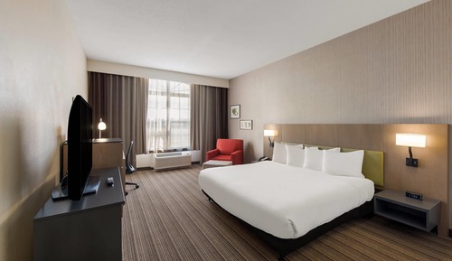 Room, 1 King Bed, Non Smoking (Rollin Shower)
