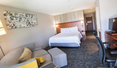 Room, 1 King Bed with Sofa bed