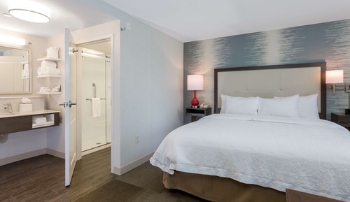 Studio, 1 King Bed with Sofa bed