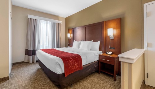 Suite, 1 King Bed with Sofa bed, Non Smoking (Upgrade)