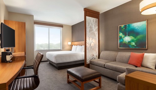Room (1 King Bed, plus sofa bed)