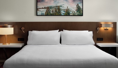 Room, 1 King Bed