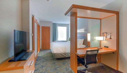 Suite, 1 King Bed with Sofa bed, Hearing Accessible