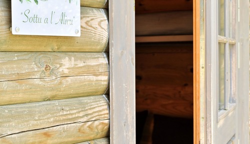 Family Cabin
