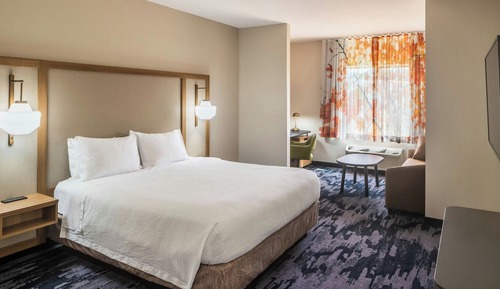 Suite, 1 King Bed with Sofa bed