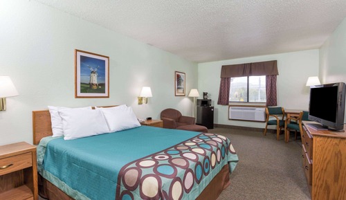 Room, 1 Queen Bed, Non Smoking (Pet-friendly)