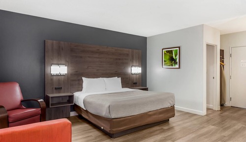 Room, 1 King Bed with Sofa bed, Non Smoking