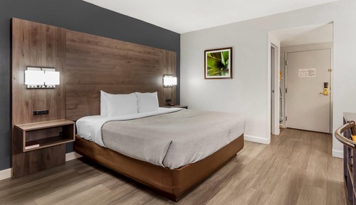 Standard Room, 1 King Bed, Non Smoking