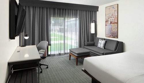 Room, 1 King Bed with Sofa bed