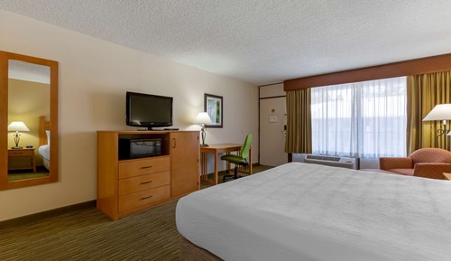 Standard Room, 1 King Bed, Smoking, Refrigerator & Microwave