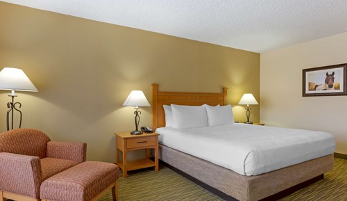 Standard Room, 1 King Bed, Non Smoking, Fireplace