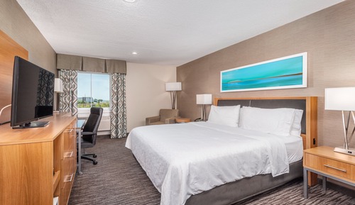 Standard Room, 1 King Bed, Accessible Bathtub (Communications)