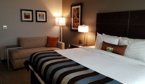 Room, 1 King Bed, Non Smoking