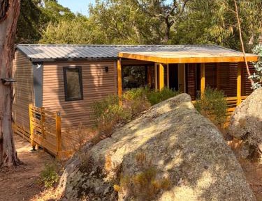 Mobile Home