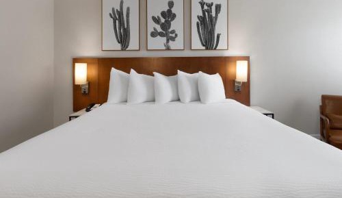 King Room with Roll-in Shower - Mobility Access/Non-Smoking